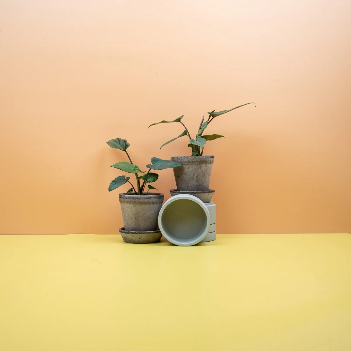 Produktbild 6