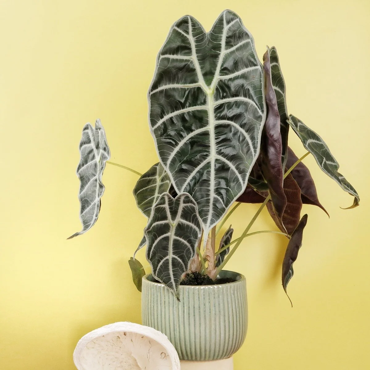 Produktbild 5