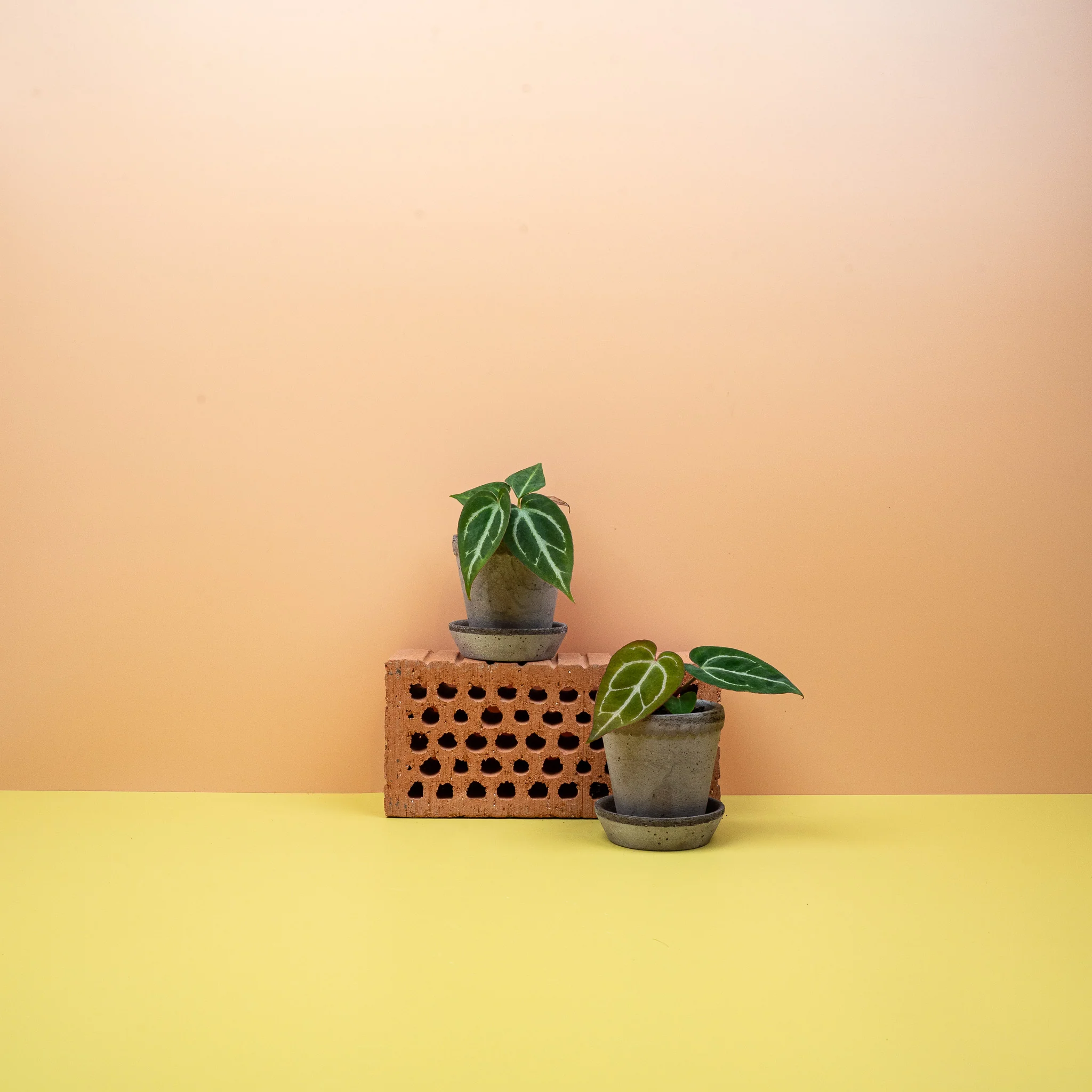 Produktbild 7