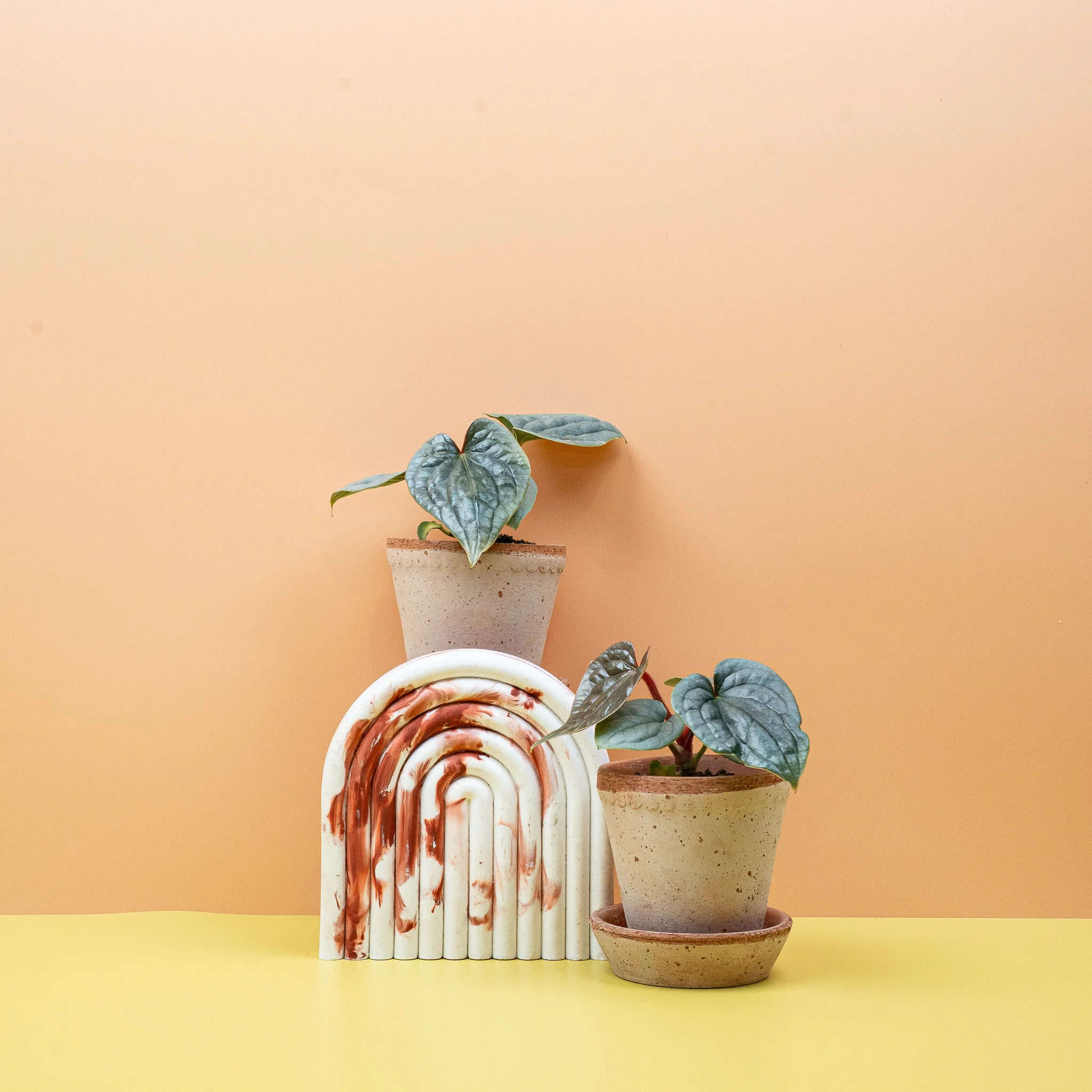 BABYPLANTS